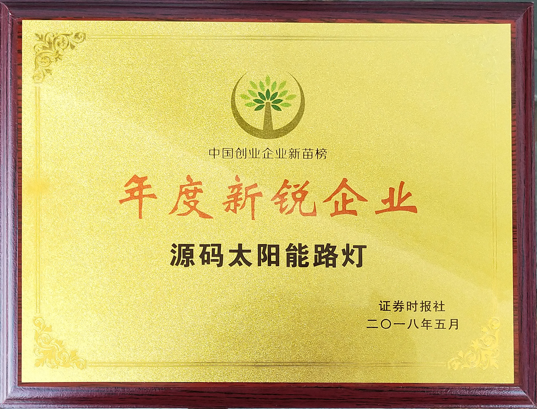 年度新銳企業(yè)