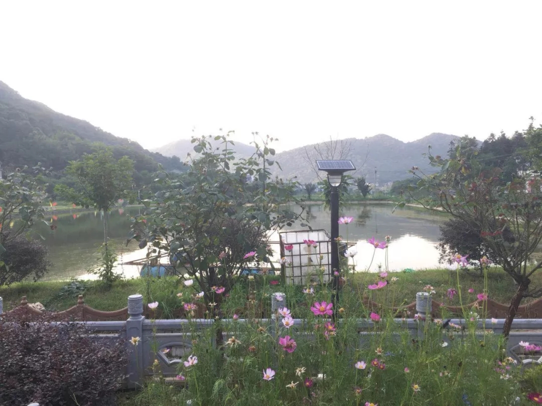 源碼，你所不知道的另一面